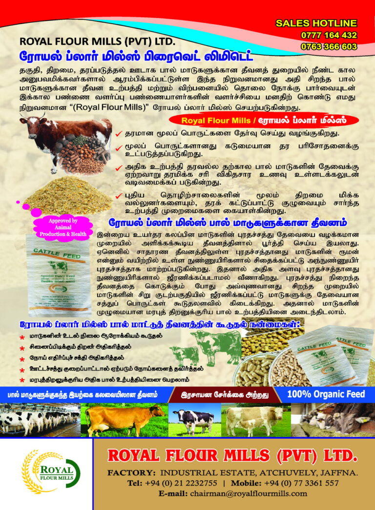 Tamil-Leaflets